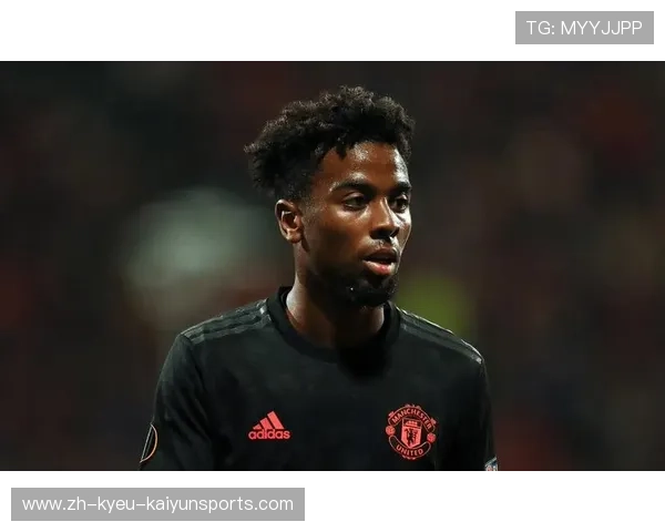 曼联的法甲球员：从英超到法甲的过渡